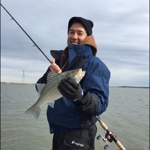 Meet your Posher, Joe